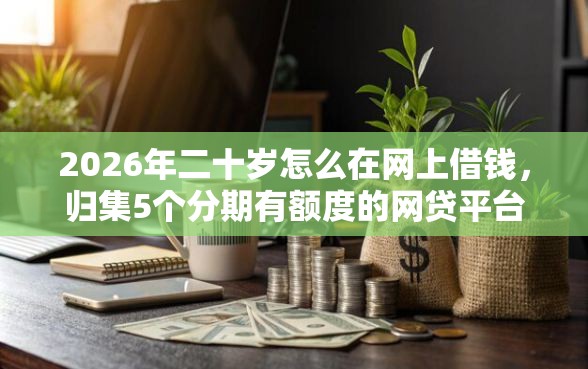 2026年二十岁怎么在网上借钱，归集5个分期有额度的网贷平台