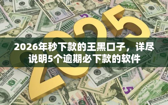 2026年秒下款的王黑口子，详尽说明5个逾期必下款的软件