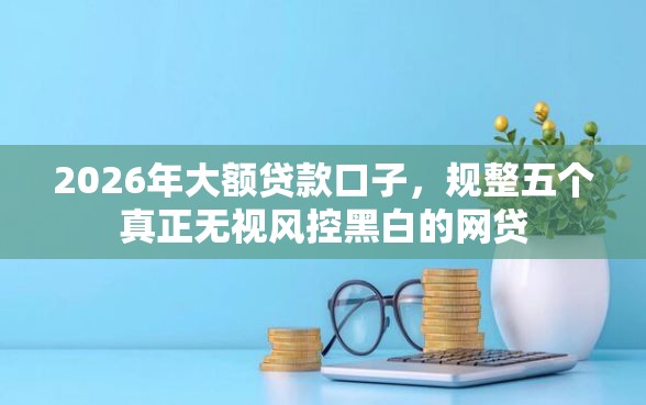 2026年大额贷款口子，规整五个真正无视风控黑白的网贷