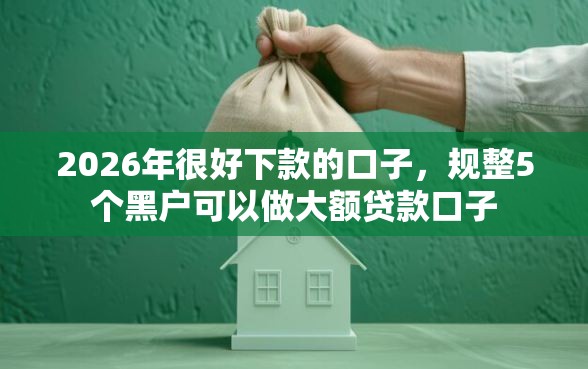 2026年很好下款的口子，规整5个黑户可以做大额贷款口子