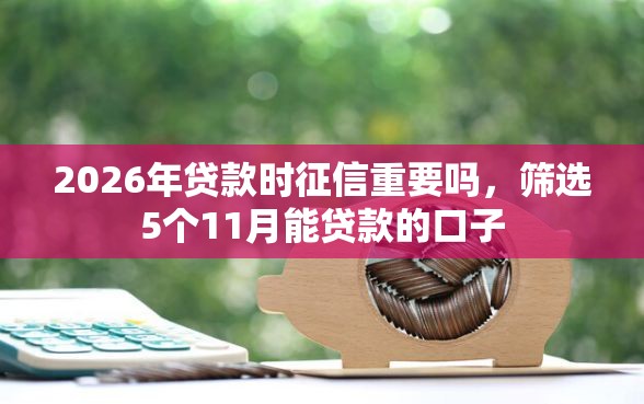 2026年贷款时征信重要吗，筛选5个11月能贷款的口子
