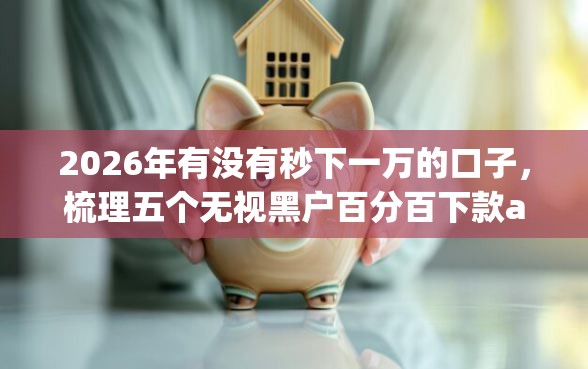 2026年有没有秒下一万的口子，梳理五个无视黑户百分百下款app