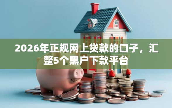 2026年正规网上贷款的口子，汇整5个黑户下款平台