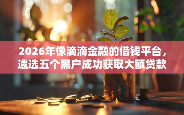 2026年像滴滴金融的借钱平台，遴选五个黑户成功获取大额贷款的软件