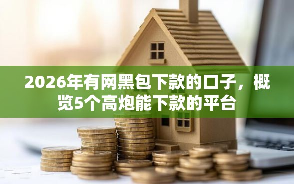 2026年有网黑包下款的口子，概览5个高炮能下款的平台