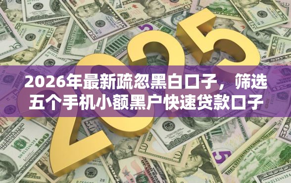 2026年最新疏忽黑白口子，筛选五个手机小额黑户快速贷款口子