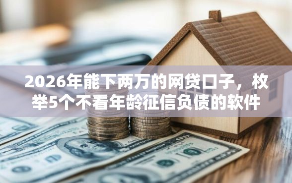 2026年能下两万的网贷口子，枚举5个不看年龄征信负债的软件