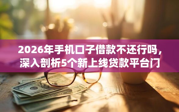 2026年手机口子借款不还行吗，深入剖析5个新上线贷款平台门槛低app