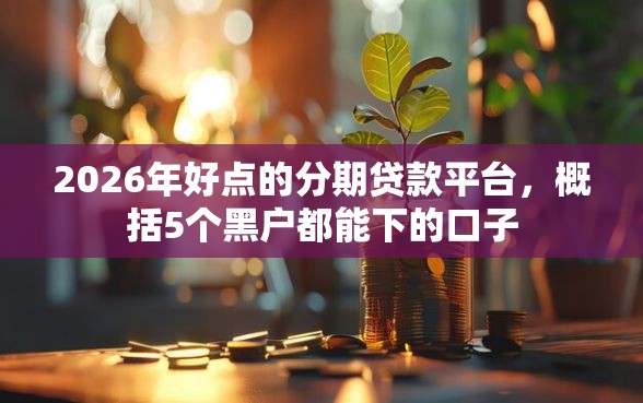 2026年好点的分期贷款平台，概括5个黑户都能下的口子