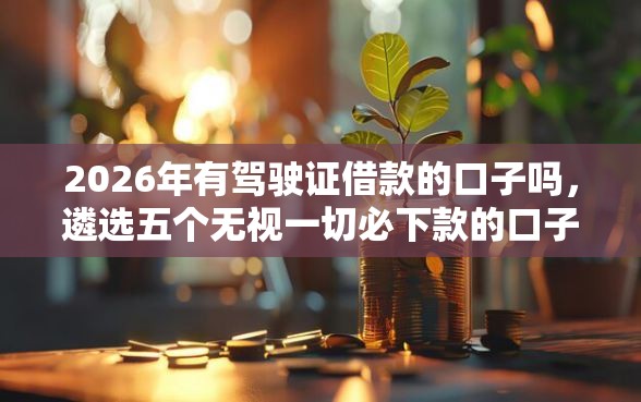 2026年有驾驶证借款的口子吗，遴选五个无视一切必下款的口子
