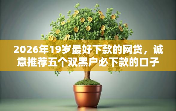 2026年19岁最好下款的网贷，诚意推荐五个双黑户必下款的口子