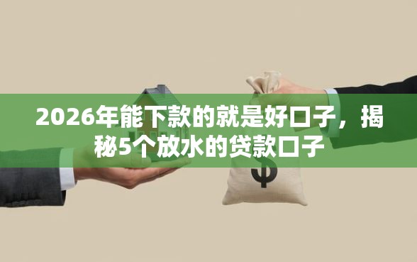 2026年能下款的就是好口子，揭秘5个放水的贷款口子