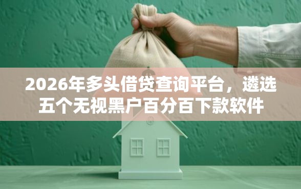 2026年多头借贷查询平台，遴选五个无视黑户百分百下款软件