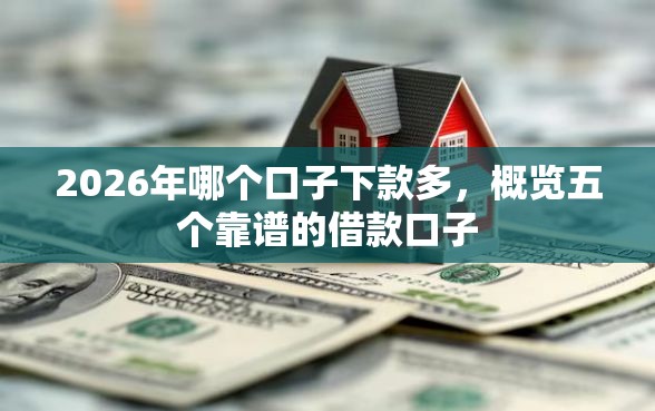 2026年哪个口子下款多，概览五个靠谱的借款口子