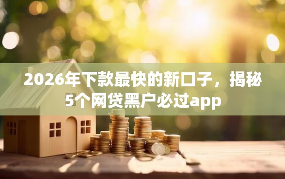 2026年下款最快的新口子，揭秘5个网贷黑户必过app