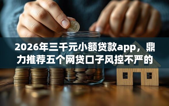 2026年三千元小额贷款app，鼎力推荐五个网贷口子风控不严的平台