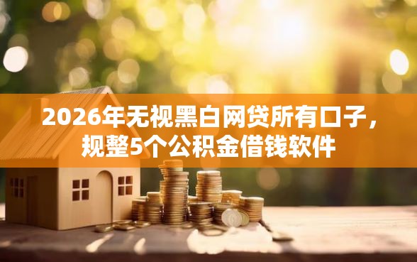 2026年无视黑白网贷所有口子，规整5个公积金借钱软件
