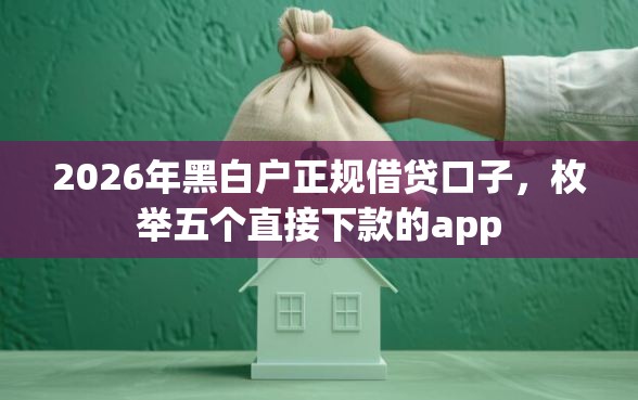 2026年黑白户正规借贷口子，枚举五个直接下款的app