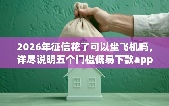 2026年征信花了可以坐飞机吗，详尽说明五个门槛低易下款app