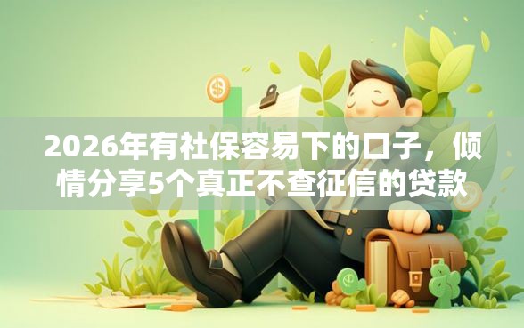 2026年有社保容易下的口子，倾情分享5个真正不查征信的贷款平台