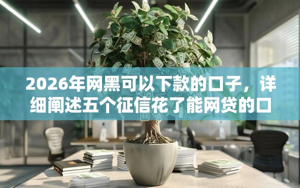 2026年网黑可以下款的口子，详细阐述五个征信花了能网贷的口子