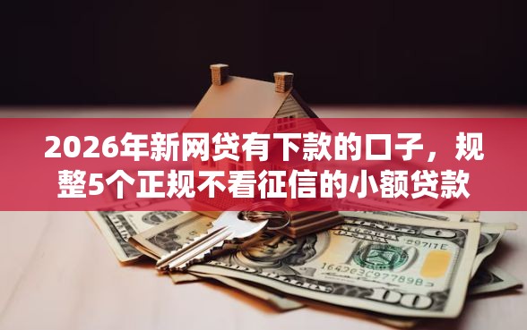 2026年新网贷有下款的口子，规整5个正规不看征信的小额贷款口子