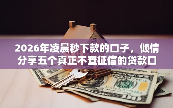 2026年凌晨秒下款的口子，倾情分享五个真正不查征信的贷款口子