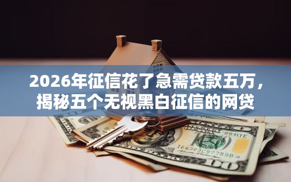2026年征信花了急需贷款五万，揭秘五个无视黑白征信的网贷