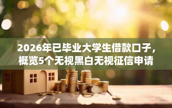2026年已毕业大学生借款口子，概览5个无视黑白无视征信申请就下款的app