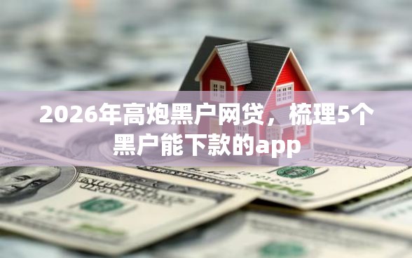 2026年高炮黑户网贷，梳理5个黑户能下款的app