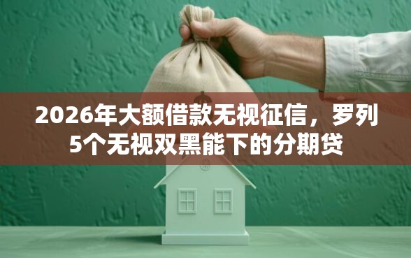 2026年大额借款无视征信，罗列5个无视双黑能下的分期贷
