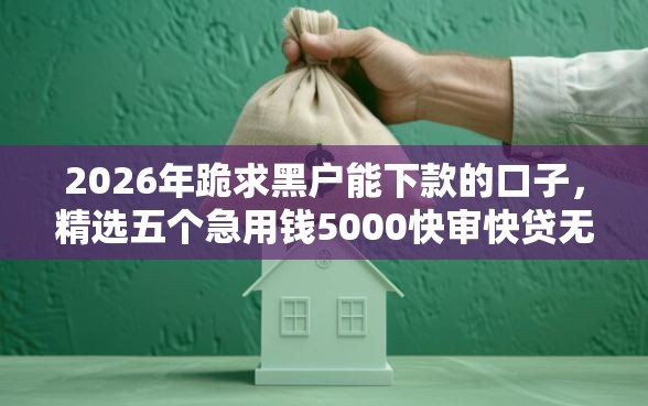 2026年跪求黑户能下款的口子，精选五个急用钱5000快审快贷无需征信平台