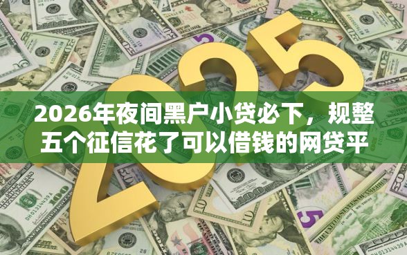 2026年夜间黑户小贷必下，规整五个征信花了可以借钱的网贷平台