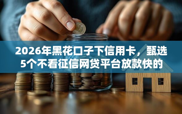 2026年黑花口子下信用卡，甄选5个不看征信网贷平台放款快的平台
