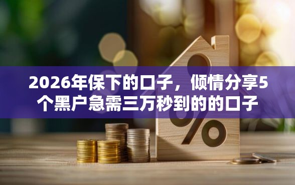 2026年保下的口子，倾情分享5个黑户急需三万秒到的的口子