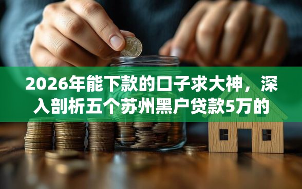 2026年能下款的口子求大神，深入剖析五个苏州黑户贷款5万的app