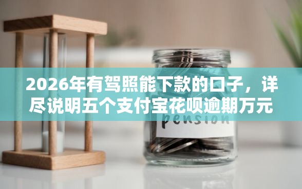 2026年有驾照能下款的口子，详尽说明五个支付宝花呗逾期万元快速贷款软件