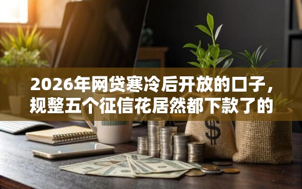 2026年网贷寒冷后开放的口子，规整五个征信花居然都下款了的平台