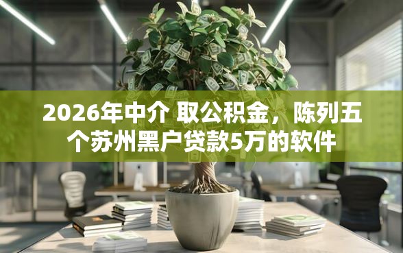 2026年中介 取公积金，陈列五个苏州黑户贷款5万的软件