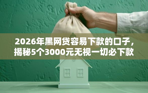 2026年黑网贷容易下款的口子，揭秘5个3000元无视一切必下款的口子