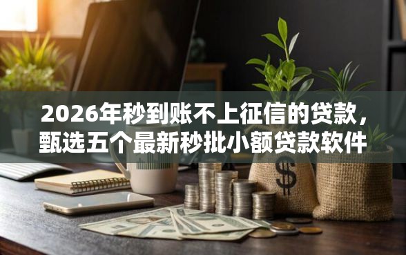 2026年秒到账不上征信的贷款，甄选五个最新秒批小额贷款软件
