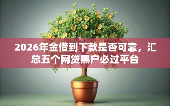 2026年金借到下款是否可靠，汇总五个网贷黑户必过平台