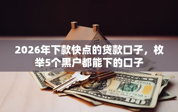 2026年下款快点的贷款口子，枚举5个黑户都能下的口子