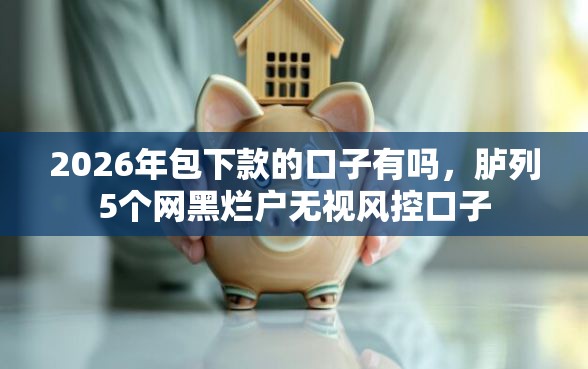 2026年包下款的口子有吗，胪列5个网黑烂户无视风控口子