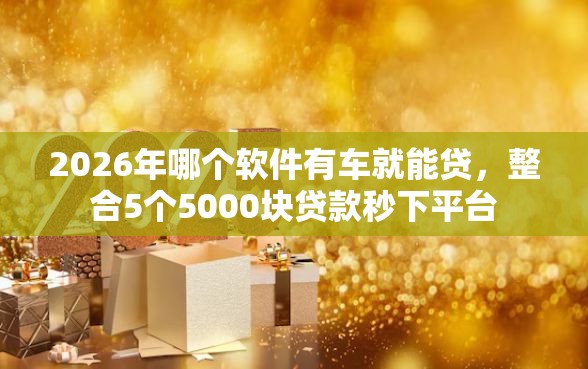 2026年哪个软件有车就能贷，整合5个5000块贷款秒下平台