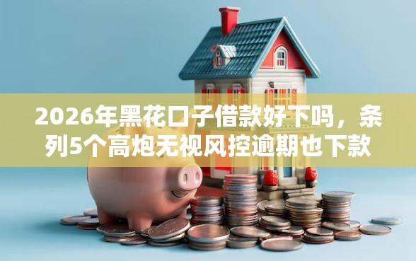 2026年黑花口子借款好下吗，条列5个高炮无视风控逾期也下款的口子