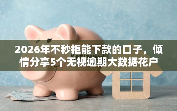 2026年不秒拒能下款的口子，倾情分享5个无视逾期大数据花户黑户平台