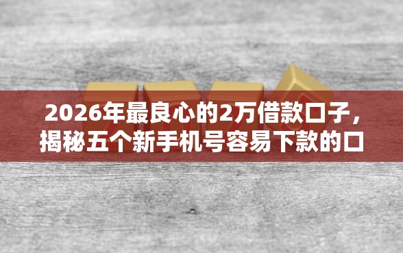 2026年最良心的2万借款口子，揭秘五个新手机号容易下款的口子