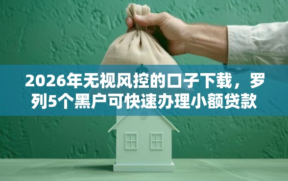 2026年无视风控的口子下载，罗列5个黑户可快速办理小额贷款业务的口子