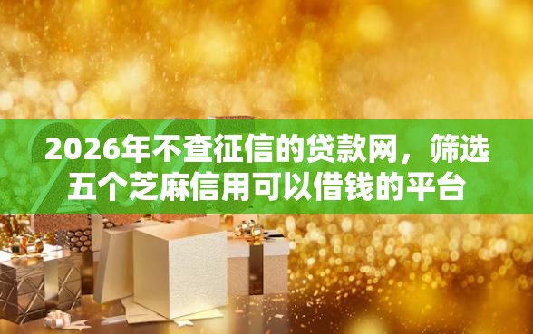 2026年不查征信的贷款网，筛选五个芝麻信用可以借钱的平台